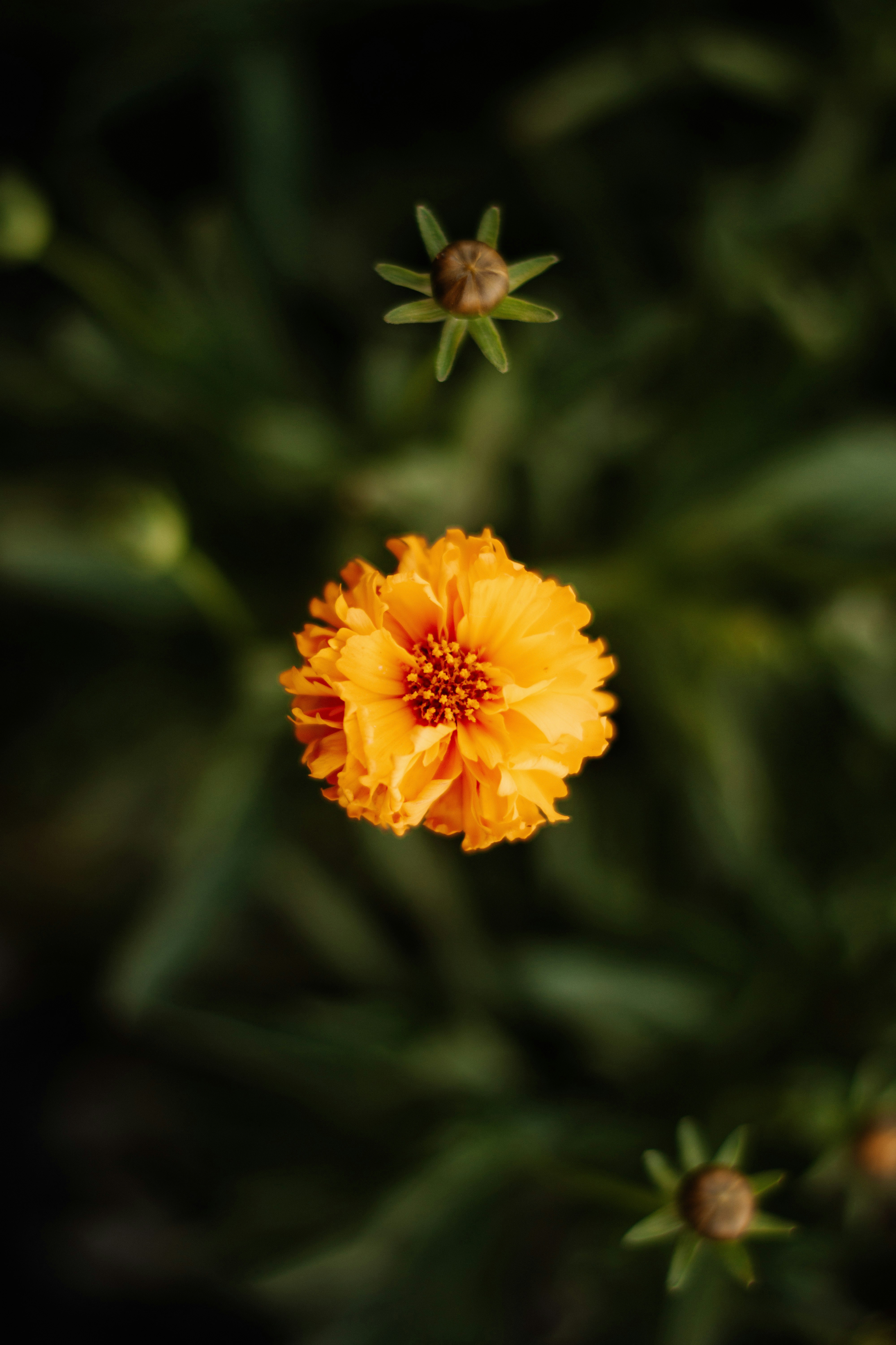 binit-sharma-vopymup7xgw-unsplash.jpg